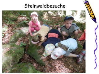 Steinwaldbesuche
 