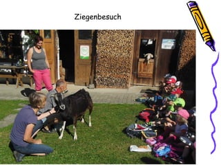 Ziegenbesuch
 