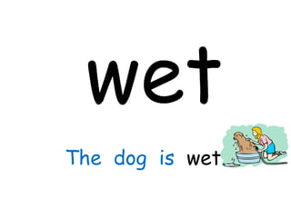wet The  dog  is  wet . 