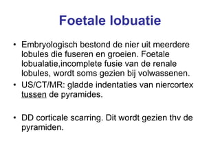 Foetale lobuatie Embryologisch bestond de nier uit meerdere lobules die fuseren en groeien. Foetale lobualatie,incomplete fusie van de renale lobules, wordt soms gezien bij volwassenen.  US/CT/MR: gladde indentaties van niercortex  tussen  de pyramides.  DD corticale scarring. Dit wordt gezien thv de pyramiden.  