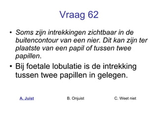 Vraag 62 Soms zijn intrekkingen zichtbaar in de buitencontour van een nier. Dit kan zijn ter plaatste van een papil of tussen twee papillen . Bij foetale lobulatie is de intrekking tussen twee papillen in gelegen.  A. Juist B. Onjuist C. Weet niet  