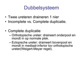 Dubbelsysteem Twee ureteren draineren 1 nier Incomplete vs. Complete duplicatie. Complete duplicatie Orthotopische ureter: draineert onderpool en mondt in op normale plek. Ectopische ureter: draineert bovenpool en mondt in mediaal-inferior tov orthotopische ureter(Weigert-Meyer regel). 