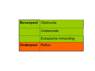 Reflux Onderpool Ectopische inmonding  Ureterocele Obstructie Bovenpool 