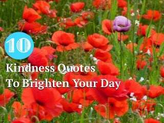 10
Kindness Quotes
To Brighten Your Day
Kindness Quotes
To Brighten Your Day
 