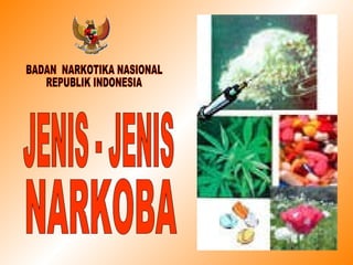 JENIS - JENIS BADAN  NARKOTIKA NASIONAL REPUBLIK INDONESIA NARKOBA 