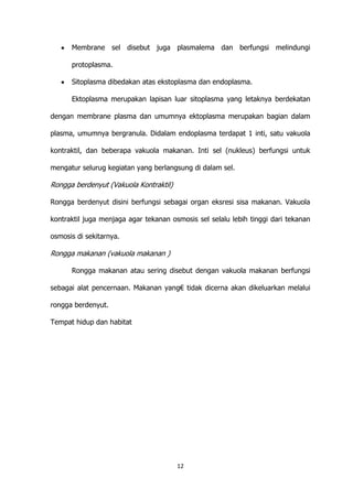 Membrane sel disebut juga plasmalema dan berfungsi melindungi
protoplasma.
Sitoplasma dibedakan atas ekstoplasma dan endoplasma.
Ektoplasma merupakan lapisan luar sitoplasma yang letaknya berdekatan
dengan membrane plasma dan umumnya ektoplasma merupakan bagian dalam
plasma, umumnya bergranula. Didalam endoplasma terdapat 1 inti, satu vakuola
kontraktil, dan beberapa vakuola makanan. Inti sel (nukleus) berfungsi untuk
mengatur selurug kegiatan yang berlangsung di dalam sel.

Rongga berdenyut (Vakuola Kontraktil)
Rongga berdenyut disini berfungsi sebagai organ eksresi sisa makanan. Vakuola
kontraktil juga menjaga agar tekanan osmosis sel selalu lebih tinggi dari tekanan
osmosis di sekitarnya.

Rongga makanan (vakuola makanan )
Rongga makanan atau sering disebut dengan vakuola makanan berfungsi
sebagai alat pencernaan. Makanan yang€ tidak dicerna akan dikeluarkan melalui
rongga berdenyut.
Tempat hidup dan habitat

12

 