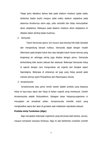 Tetapi perlu diketahui bahwa baik pada stadium miselium (pada waktu
terbentuk badan buah) maupun pada waktu stadium vegetative pada
dasarnya strukturnya sama saja, yaitu senositik dan tetap menunjukkan
aliran sitoplasma. Walaupun pada stadium miselium aliran sitoplasma ini
dibatasi dalam dinding badan buahnya.

2. Oomycota
Tubuh Oomycota (jamur air) trsusun atas benang hifa tidak bersekat
dan mengandung banyak nukleus. Oomycota dapat dengan mudah
ditemukan pada bingkai tubuh ikan atau bangkai tubuh hewan lainnya yang
tergenang air sehingga sering juga disebut dengan jamur. Oomycota
berkembang biak secara seksual dan aksesual. Beberapa Oomycota hidup
di saproit dengan cara menguraikan zat organik dari bangkai seperi
Saprolegina. Beberapa di antaranya ad juga yang hidup parasit pada
individu lainnya seprti Phytophtora dan Plasmospara viticola.

3. Acrasiomycota
Acrasiomycota atau jamur kendir seluler adalah protista yang biasanya
hidup di kayu-kayu lapuk dan hidup di bahan organik yang membusuk. Contoh
Acrasiomycota adalah Dictyostelium. Sebagian besar hidupnya,organisme in
merupakan

sel

amoeboid

soliter.

Acrasiomycota

memiliki

tubuh

yang

menghasilkan spora dan akan di gunakan saat melakukan reproduksi seksual.
Protista mirip Tumbuhan (Alga)
Alga merupakan kelompok organisme yang bervariasi baik bentuk, ukuran,
maupun komposisi senyawa kimianya. Alga ini ada berbentuk uniseluler (contoh

5

 