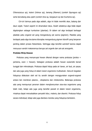 Chlorococcus sp), koloni (Volvox sp), benang (filamen) (contoh Spyrogyra sp)
serta bercabang atau pipih (contoh Ulva sp, Sargasum sp dan Euchema sp).
Ciri-ciri lainnya pada alga adalah, alga ini tidak memiliki akar, batang dan
daun sejati. Tubuh seperti ini dinamakan talus. Itulah sebabnya alga tidak dapat
digolongkan sebagai tumbuhan (plantae). Di dalam sel alga terdapat berbagai
plastida yaitu organel sel yang mengandung zat warna (pigmen). Plastida yang
terdapat pada alga terutama kloroplas mengandung pigmen klorofil yang berperan
penting dalam proses fotosintesis. Sehingga alga bersifat autrotof karena dapat
menyusun sendiri makanannya berupa zat organik dan zat-zat anorganik.
Protista Mirip Hewan
Protozoa yang menyerupai hewan dikenal dengan nama protozoa (protos =
pertama, zoon = hewan). Sebagian protozoa adalah hewan eukariotik bersel
tunggal dan mikroskopis. Protozoa dapat hidup pada air tawar, air laut, air payau
dan ada juga yang hidup di dalam tubuh organisme multiseluler. Seluruh kegiatan
hidupnya dilakukan oleh sel itu sendiri dengan menggunakan organel-organel
antara lain membran plasma , sitoplasma dan mitokondria. Beberapa protozoa
ada yang mempunyai peranan dalam menghancurkan sisa-sisa organisme yang
telah mati, tetapi ada juga yang bersifat parasit di dalam tubuh organisme,
misalnya dapat menyebabkan penyakit tidur, malaria, dan disentri. Protozoa hidup
secara individual, tetapi ada juga diantara mereka yang hidupnya berkoloni.

6

 
