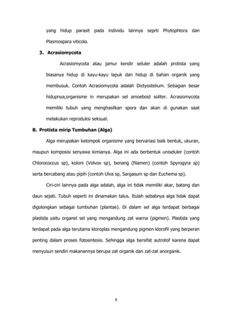 yang hidup parasit pada individu lainnya seprti Phytophtora dan
Plasmospara viticola.
3. Acrasiomycota
Acrasiomycota atau jamur kendir seluler adalah protista yang
biasanya hidup di kayu-kayu lapuk dan hidup di bahan organik yang
membusuk. Contoh Acrasiomycota adalah Dictyostelium. Sebagian besar
hidupnya,organisme in merupakan sel amoeboid soliter. Acrasiomycota
memiliki tubuh yang menghasilkan spora dan akan di gunakan saat
melakukan reproduksi seksual.
B. Protista mirip Tumbuhan (Alga)
Alga merupakan kelompok organisme yang bervariasi baik bentuk, ukuran,
maupun komposisi senyawa kimianya. Alga ini ada berbentuk uniseluler (contoh
Chlorococcus sp), koloni (Volvox sp), benang (filamen) (contoh Spyrogyra sp)
serta bercabang atau pipih (contoh Ulva sp, Sargasum sp dan Euchema sp).
Ciri-ciri lainnya pada alga adalah, alga ini tidak memiliki akar, batang dan
daun sejati. Tubuh seperti ini dinamakan talus. Itulah sebabnya alga tidak dapat
digolongkan sebagai tumbuhan (plantae). Di dalam sel alga terdapat berbagai
plastida yaitu organel sel yang mengandung zat warna (pigmen). Plastida yang
terdapat pada alga terutama kloroplas mengandung pigmen klorofil yang berperan
penting dalam proses fotosintesis. Sehingga alga bersifat autrotof karena dapat
menyusun sendiri makanannya berupa zat organik dan zat-zat anorganik.

9

 