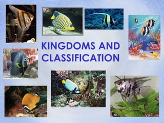 KINGDOMS AND
CLASSIFICATION
 