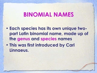BINOMIAL NAMES
• Each species has its own unique two-
part Latin binomial name, made up of
the genus and species names
• This was first introduced by Carl
Linnaeus.
 