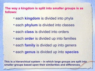 The way a kingdom is split into smaller groups is as
follows:
This is a hierarchical system – in which large groups are split into
smaller groups based upon their similarities and differences.
• each kingdom is divided into phyla
• each phylum is divided into classes
• each class is divided into orders
• each order is divided up into families
• each family is divided up into genera
• each genus is divided up into species
 