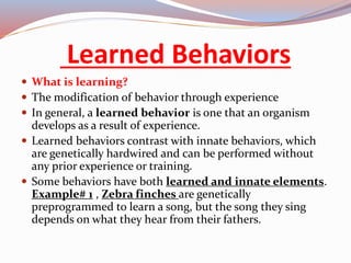 Kinds of Animal Behavior.pdf