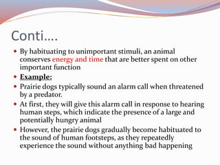 Kinds of Animal Behavior.pdf