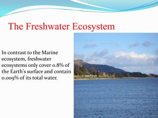 The Freshwater Ecosystem

In contrast to the Marine
ecosystem, freshwater
ecosystems only cover 0.8% of
the Earth's surface and contain
0.009% of its total water.
 