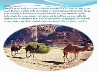 The Desert Ecosystem
Desert ecosystems are found in regions receiving an annual rainfall of less than 25cm. They occupy
around 17 percent of all land on the planet. Due to very high temperature, intense sunlight and low
water availability, flora and fauna are very poorly developed and scarce. Vegetation is mainly
bushes, shrubs, few grasses and rarely trees. Leaves and stems of these plants are modified to
conserve water. The best known desert plants are the succulents like spiny leaved cacti. Animal life
includes insects, reptiles, birds, camels all of whom are adapted to the xeric (desert) conditions.
 