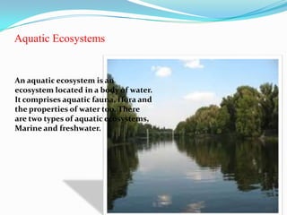 Aquatic Ecosystems


An aquatic ecosystem is an
ecosystem located in a body of water.
It comprises aquatic fauna, flora and
the properties of water too. There
are two types of aquatic ecosystems,
Marine and freshwater.
 