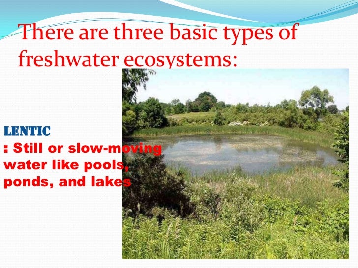 kinds of ecosystem types of ecosystems
