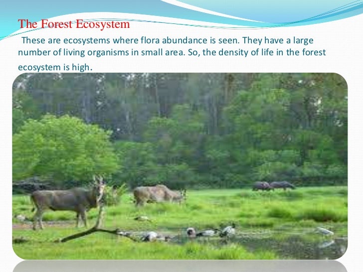types of ecosystems