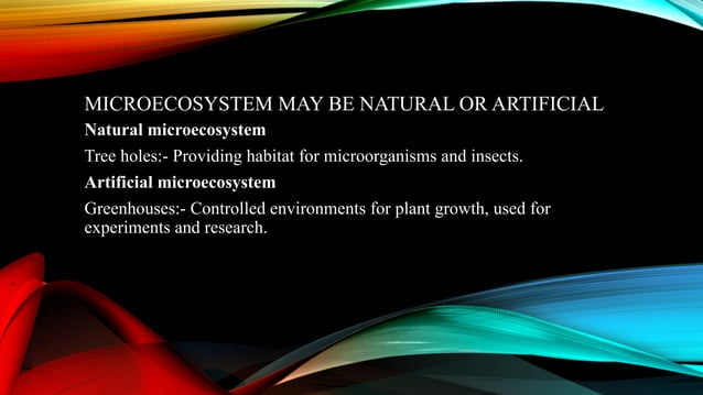 Kinds Of Ecosystem Presentation Botany Pptx Free Download Kinds Of Ecosystem Presentation Botany Pptx Free Download