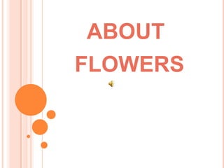ABOUT
FLOWERS
 