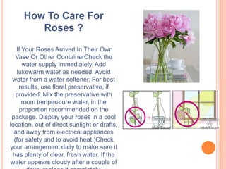 How To Care For
        Roses ?

   If Your Roses Arrived In Their Own
   Vase Or Other ContainerCheck the
      water supply immediately. Add
   lukewarm water as needed. Avoid
 water from a water softener. For best
    results, use floral preservative, if
   provided. Mix the preservative with
      room temperature water, in the
    proportion recommended on the
 package. Display your roses in a cool
location, out of direct sunlight or drafts,
  and away from electrical appliances
  (for safety and to avoid heat.)Check
your arrangement daily to make sure it
 has plenty of clear, fresh water. If the
 water appears cloudy after a couple of
 