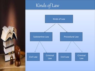 Kinds of law PPT