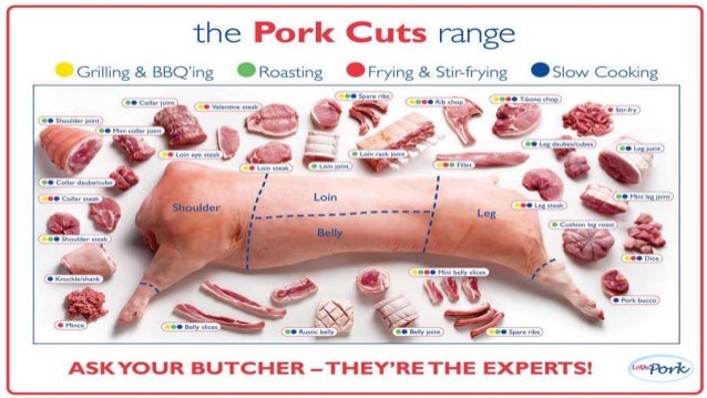 Kinds of meat cuts of swine diagram 
