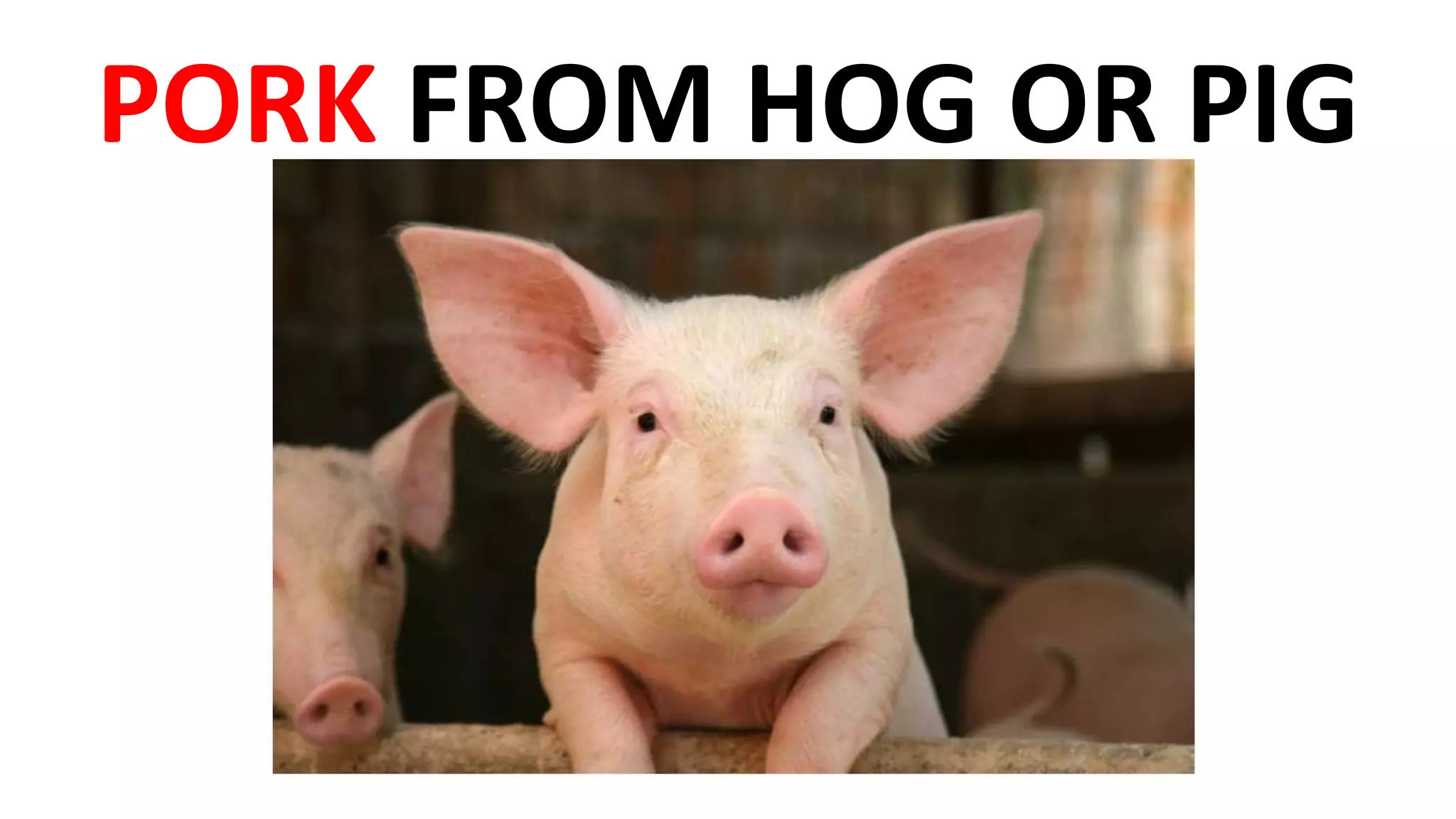PORK FROM HOG OR PIG
 