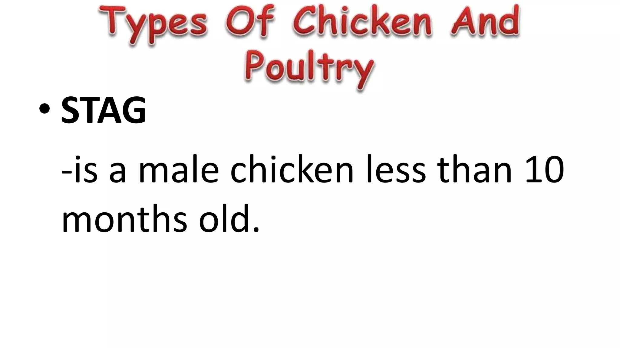 • STAG
-is a male chicken less than 10
months old.
 
