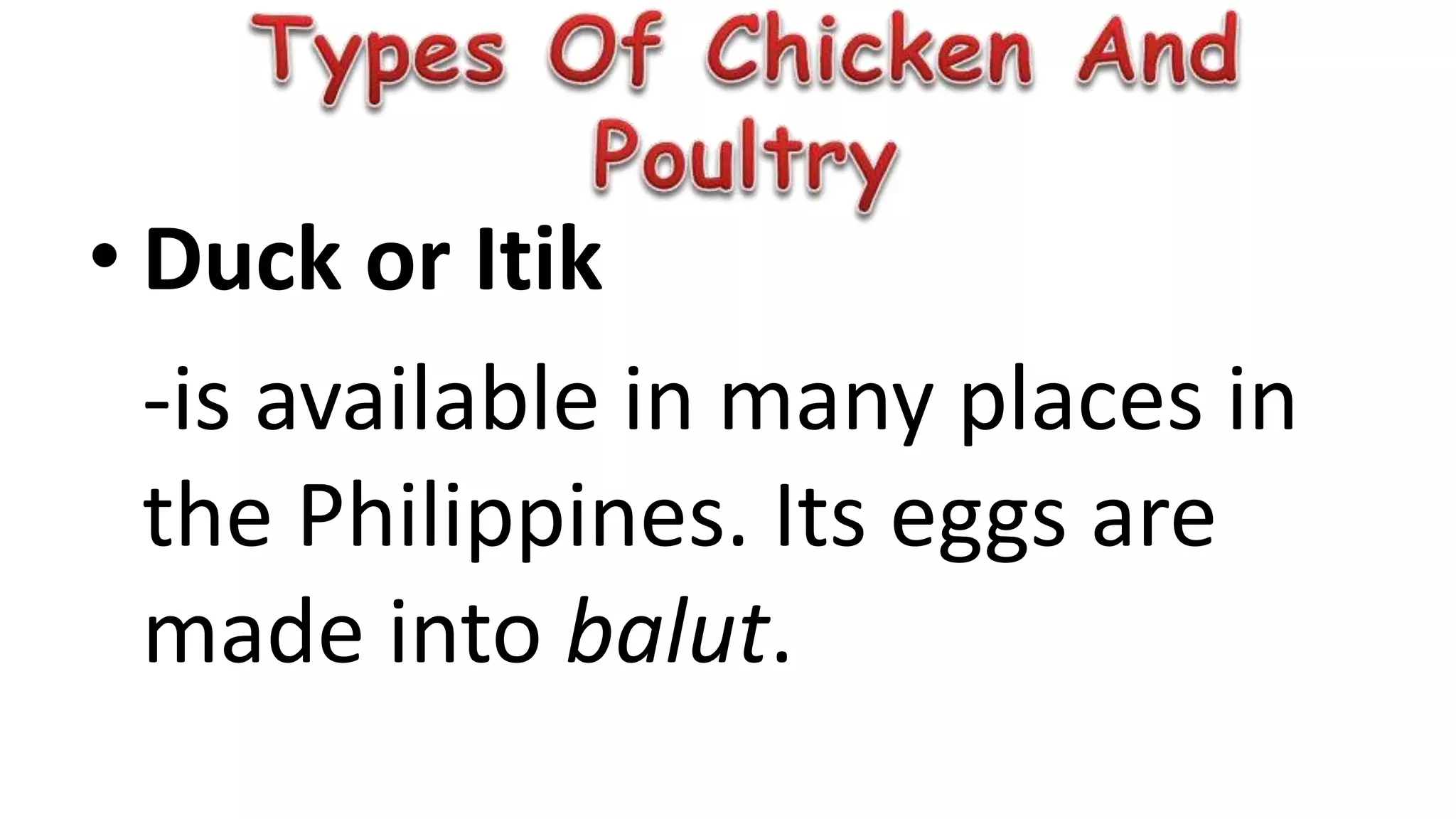 • Duck or Itik
-is available in many places in
the Philippines. Its eggs are
made into balut.
 