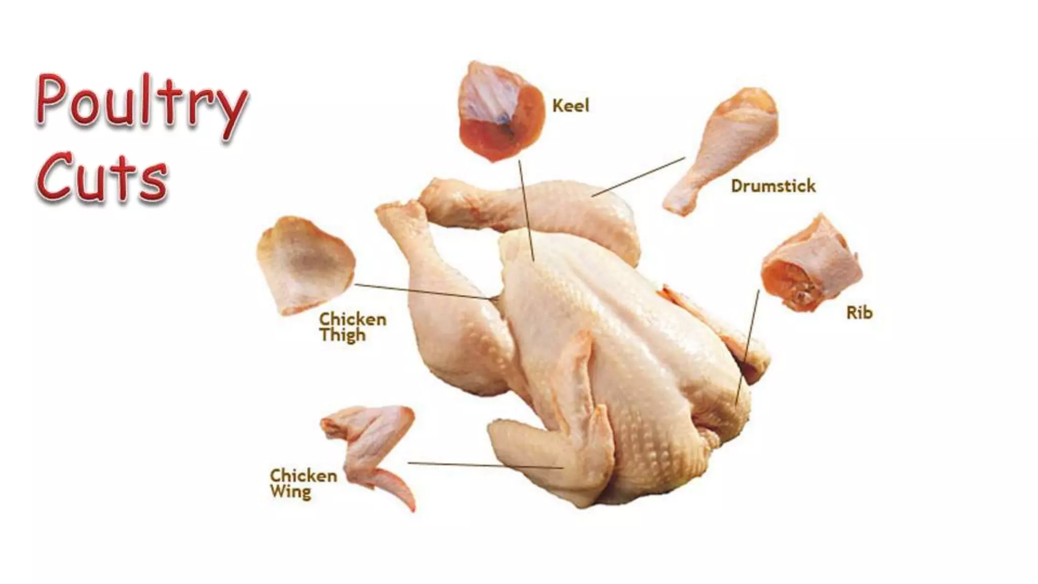 Kinds of Meat and Poultry for Processing