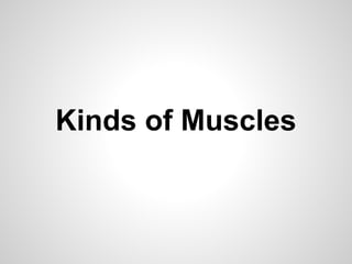 Kinds of Muscles
 