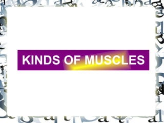 KINDS OF MUSCLES
 