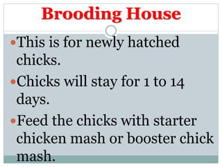 Kinds of Poultry Houses L | PPTX