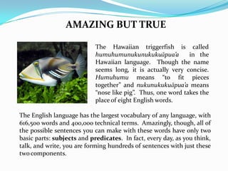 AMAZING BUT TRUE
The Hawaiian triggerfish is called
humuhumunukunukukuăpua’a in the
Hawaiian language. Though the name
seems long, it is actually very concise.
Humuhumu means “to fit pieces
together” and nukunukukuăpua’a means
“nose like pig”. Thus, one word takes the
place of eight English words.
The English language has the largest vocabulary of any language, with
616,500 words and 400,000 technical terms. Amazingly, though, all of
the possible sentences you can make with these words have only two
basic parts: subjects and predicates. In fact, every day, as you think,
talk, and write, you are forming hundreds of sentences with just these
two components.
 