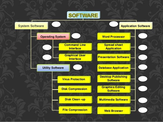 Main Types Of Computer Software