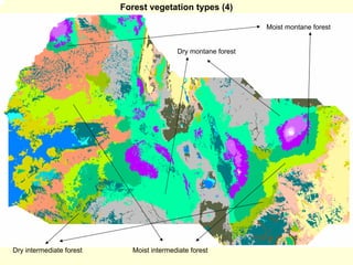 Forest vegetation types (4)

                                                               Moist montane forest


                                          Dry montane forest




Dry intermediate forest     Moist intermediate forest
 