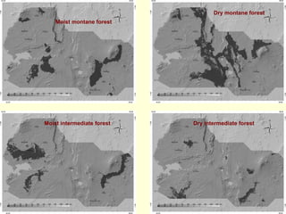 Dry montane forest
    Moist montane forest




Moist intermediate forest   Dry intermediate forest
 