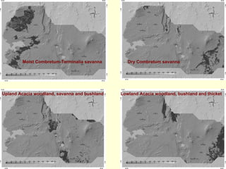 Moist Combretum-Terminalia savanna        Dry Combretum savanna




Upland Acacia woodland, savanna and bushland   Lowland Acacia woodland, bushland and thicket
 