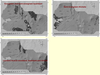 Evergreen and semi-evergreen bushland
                                                Semi-evergreen thickets




Lowland Acacia woodland, bushland and thicket
 