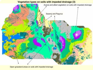 Vegetation types on soils with impeded drainage (3)
                                       Acacia and allied vegetation on soils with impeded drainage



                                          Swamp and Papyrus




Open grassland areas on soils with impeded drainage
 