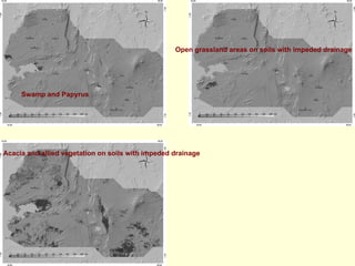 Open grassland areas on soils with impeded drainage




     Swamp and Papyrus




Acacia and allied vegetation on soils with impeded drainage
 