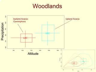 1100

                                                       Woodlands
                              lowland Acacia-                                                                        Upland Acacia
                              Commiphora
                       1000
Precipitation
                       900
       Precipitation




                                                                         UAC
                       800




                                         LAC
                       700
                       600




                                                                                                        1400
                              800     1000      1200              1400    1600   1800

                                                       Altitude
                                               Altitude

                                                                                                        1200
                                                                                                        1000
                                                                                        Precipitation


                                                                                                                                                UAC
                                                                                                        800


                                                                                                                             LAC
                                                                                                        600




                                                                                                               500         1000               1500    2000

                                                                                                                                   Altitude
 