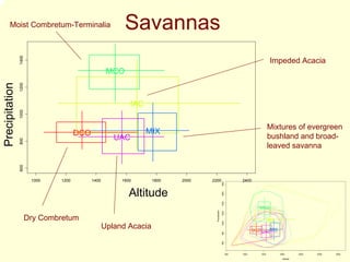 Moist Combretum-Terminalia
                        1400
                                                                  Savannas
                                                                                                                                                 Impeded Acacia
                                                            MCO
Precipitation
                        1200
        Precipitation




                                                                   IAC
                        1000




                                                                                                                                                Mixtures of evergreen
                                              DCO                            MIX
                                                              UAC                                                                               bushland and broad-
                        800




                                                                                                                                                leaved savanna
                        600




                                1000   1200         1400        1600              1800   2000   2200                           2400




                                                                                                                  1800
                                                                       Altitude
                                                                   Altitude

                                                                                                                  1600
                                                                                                                  1400
                                                                                                                                         MCO

                                                                                                  Precipitation

                                                                                                                  1200
                               Dry Combretum                                                                      1000
                                                                                                                                                IAC
                                                           Upland Acacia                                                              DCO UACMIX
                                                                                                                  800
                                                                                                                  600




                                                                                                                         500   1000      1500         2000         2500   3000   3500

                                                                                                                                                        Altitude
 