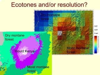 Ecotones and/or resolution?
                     Dry montane
                     forest



Dry montane
forest

                                   Moist montane
     Mount Kenya                   forest



              Moist montane
              forest
 