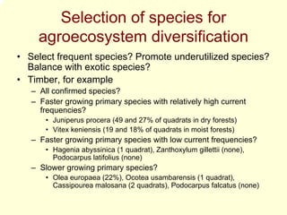 Selection of species for
     agroecosystem diversification
• Select frequent species? Promote underutilized species?
  Balance with exotic species?
• Timber, for example
   – All confirmed species?
   – Faster growing primary species with relatively high current
     frequencies?
       • Juniperus procera (49 and 27% of quadrats in dry forests)
       • Vitex keniensis (19 and 18% of quadrats in moist forests)
   – Faster growing primary species with low current frequencies?
       • Hagenia abyssinica (1 quadrat), Zanthoxylum gillettii (none),
         Podocarpus latifolius (none)
   – Slower growing primary species?
       • Olea europaea (22%), Ocotea usambarensis (1 quadrat),
         Cassipourea malosana (2 quadrats), Podocarpus falcatus (none)
 