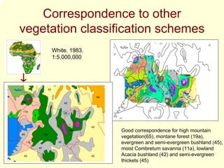 Correspondence to other
    vegetation classification schemes
                                   White. 1983.
                                   1:5,000,000




                              42

                                                          54
    19a                                   45


    11a
4                                         65
               4



                                                     42
                                               19a             Good correspondence for high mountain
    45                  19a
                                                               vegetation(65), montane forest (19a),
         11a                         45                        evergreen and semi-evergreen bushland (45),
                   45                                          moist Combretum savanna (11a), lowland
     42                                              42        Acacia bushland (42) and semi-evergreen
                                                               thickets (45)
 