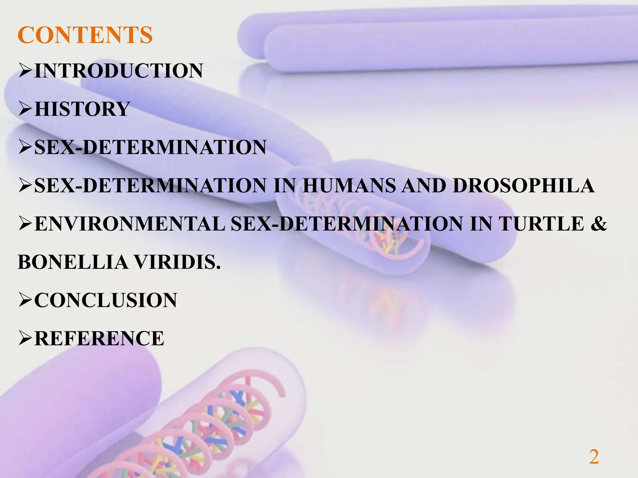 SEX DETERMINATION In Human , Drosophila melanogaster. | PPTX