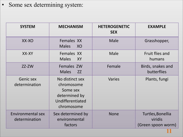 SEX DETERMINATION In Human , Drosophila melanogaster. | PPT